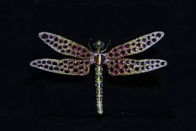 “魅惑弥蜓”猫眼胸针(图1) “魅惑弥蜓”猫眼胸针(图1)