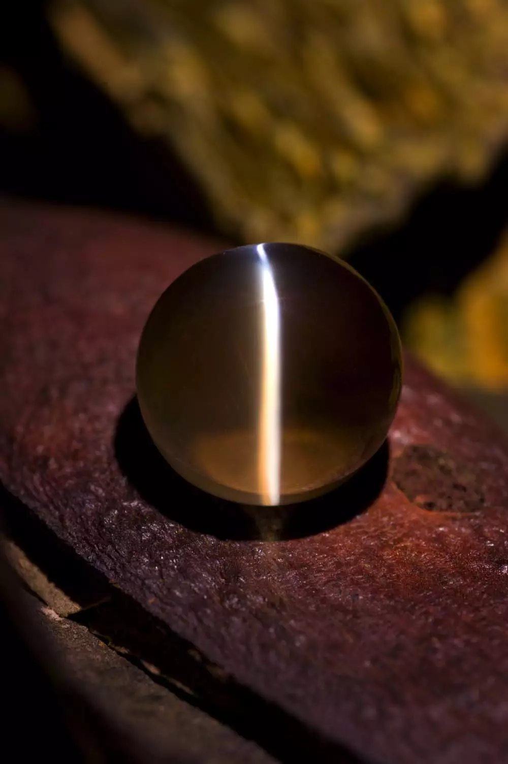 金绿猫眼传说(图1) å¾ç