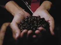 咖啡与珠宝(图2) å¾ç