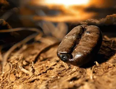 咖啡与珠宝(图5) å¾ç