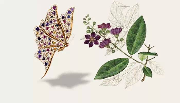 大自然蕴育出的璀璨结晶——彩色蓝宝石(图1) 大自然蕴育出的璀璨结晶——彩色蓝宝石(图1)